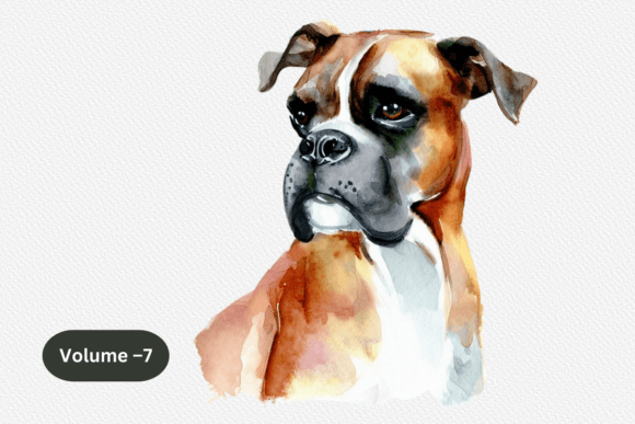 Boxer Dog Watercolor Clipart Volume –7 Graphics and Illustrations Review
